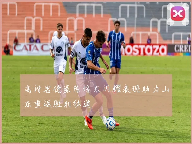 高诗岩德豪陈培东闪耀表现助力山东重返胜利轨道