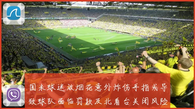 国米球迷放烟花意外炸伤手指或导致球队面临罚款及北看台关闭风险