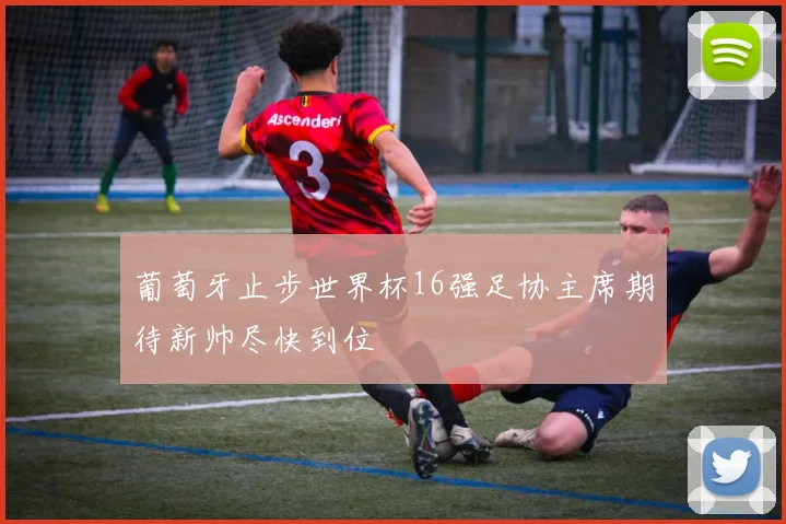 葡萄牙止步世界杯16强足协主席期待新帅尽快到位