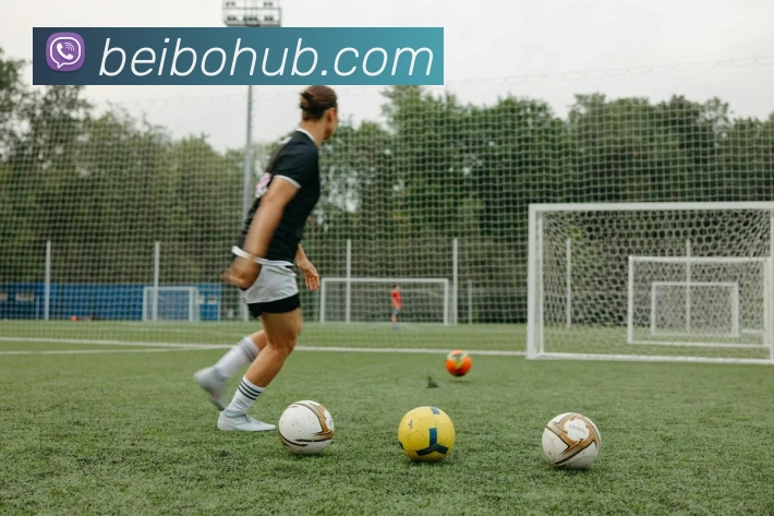 App Interface Preview