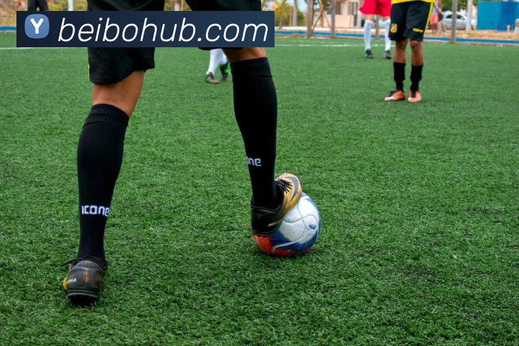 贝博体育APP 封面图